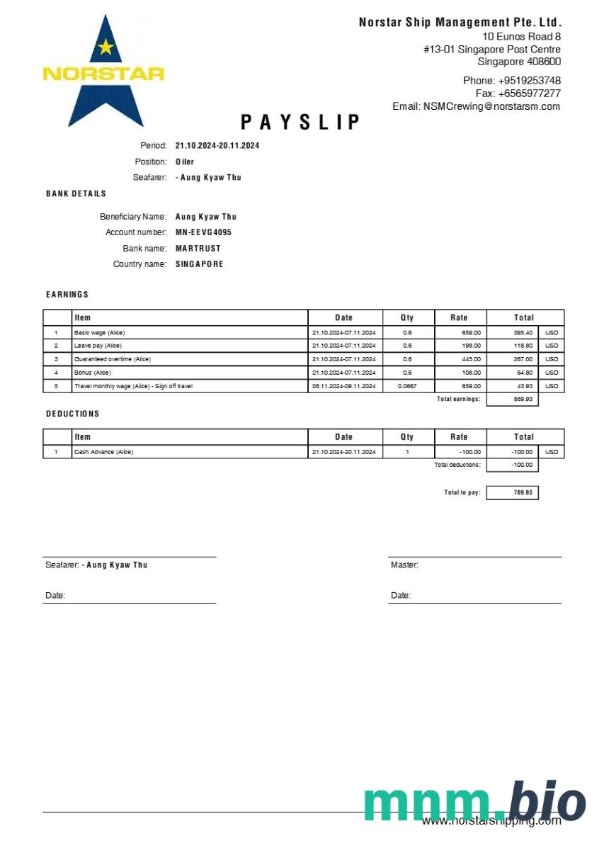 Szablon odcinka wypłaty Norstar Ship Management w formatach Word i PDF